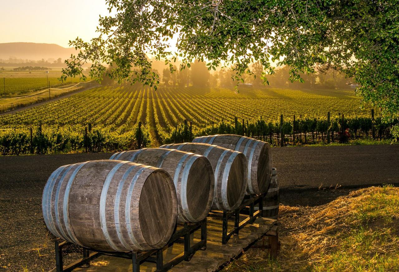 An Ideal Wine Country Getaway Villa 塞斯诺克 外观 照片